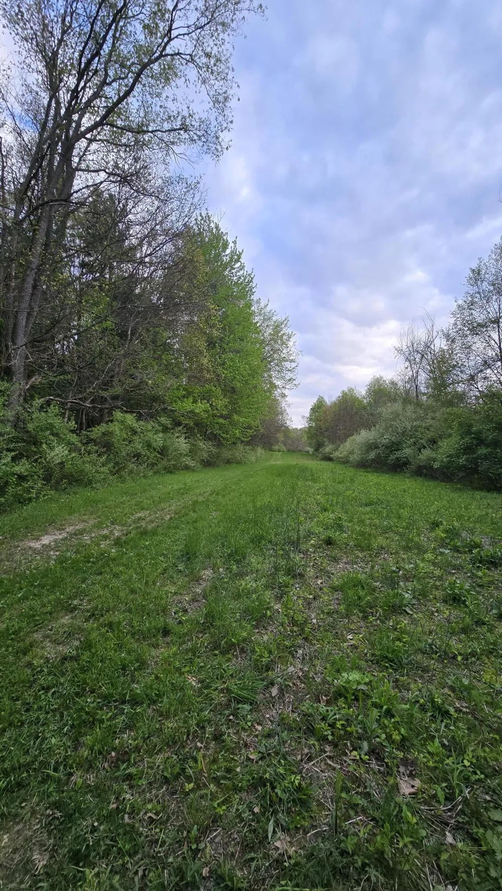 690 Pierce Road Plainwell, MI 49080