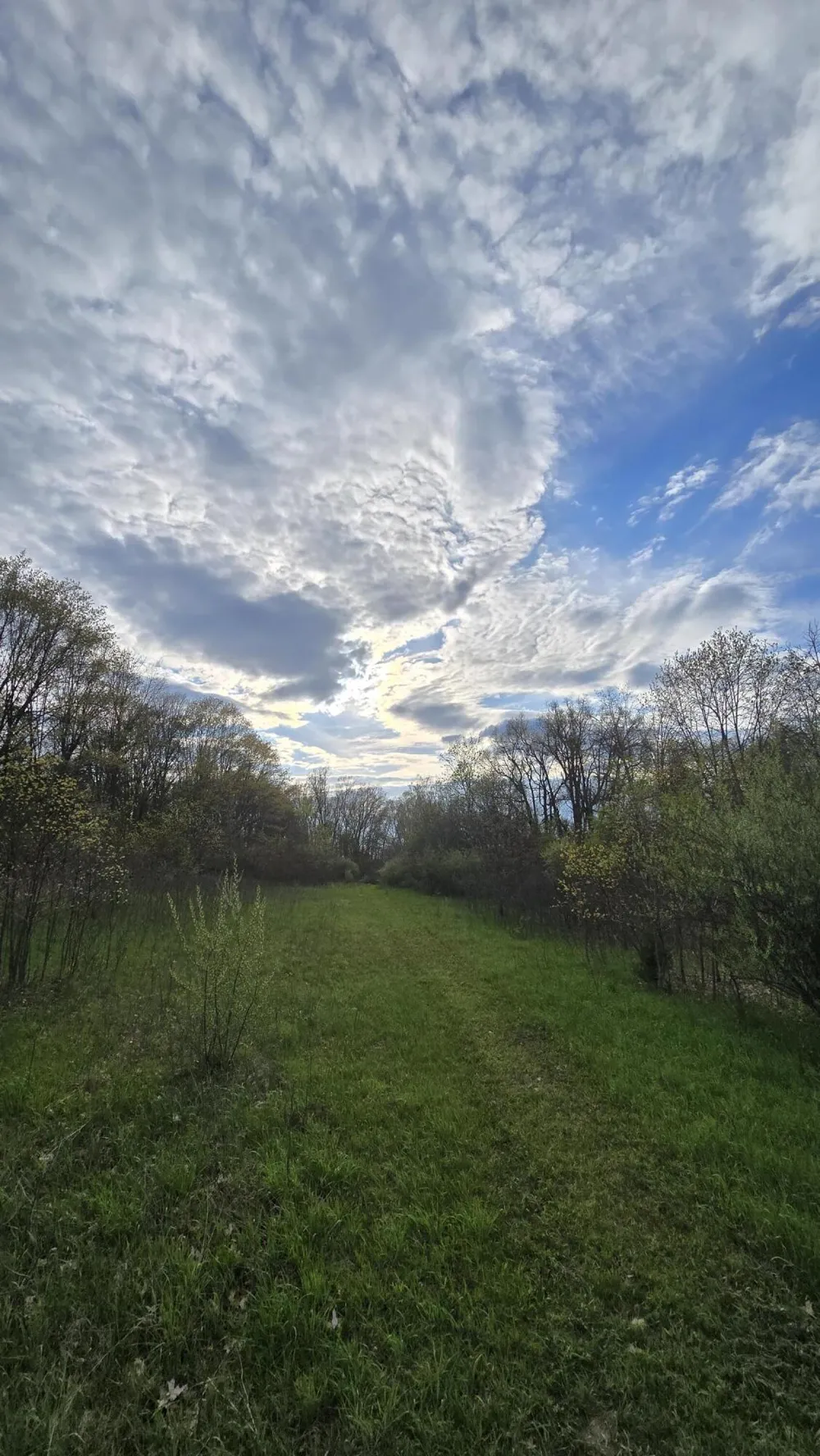 690 Pierce Road Plainwell, MI 49080