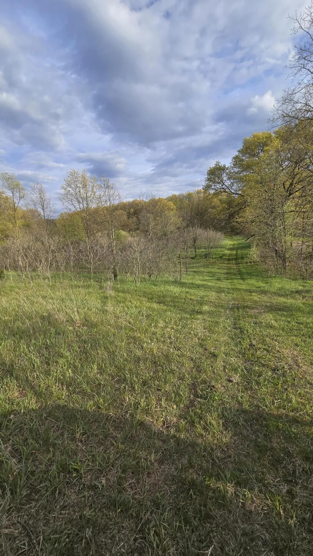 690 Pierce Road Plainwell, MI 49080