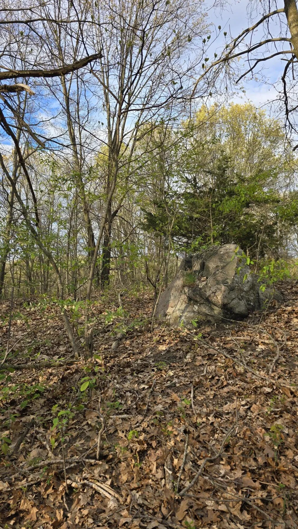 690 Pierce Road Plainwell, MI 49080
