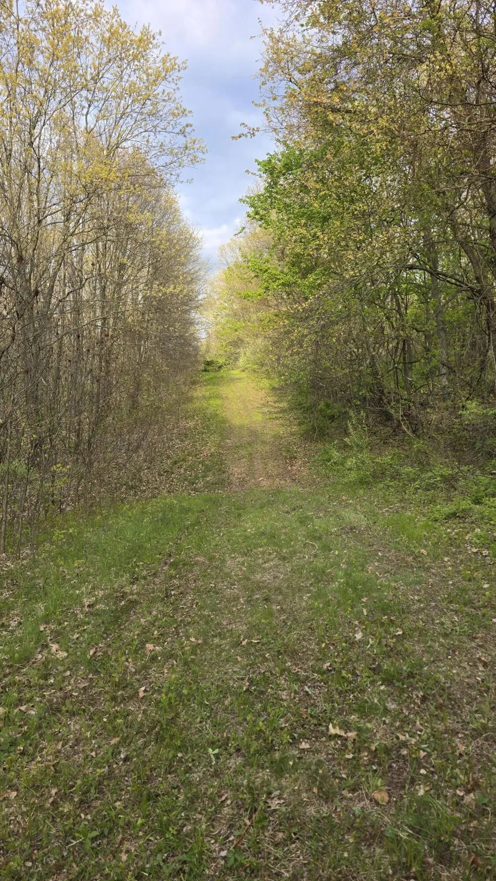 690 Pierce Road Plainwell, MI 49080