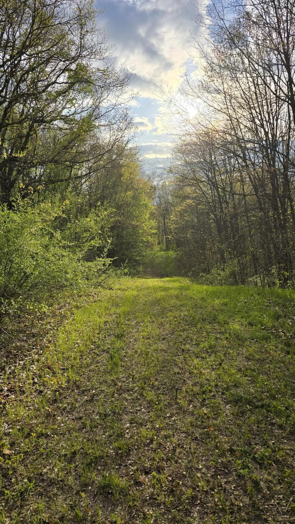 690 Pierce Road Plainwell, MI 49080