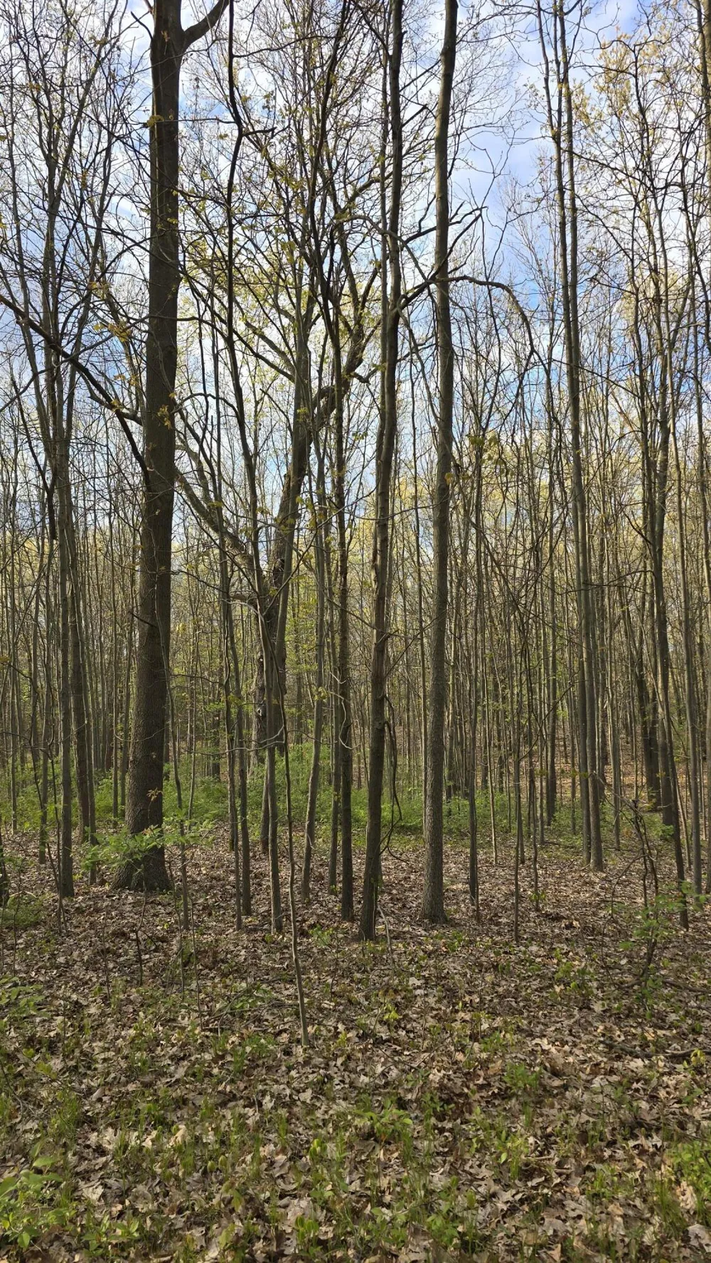 690 Pierce Road Plainwell, MI 49080