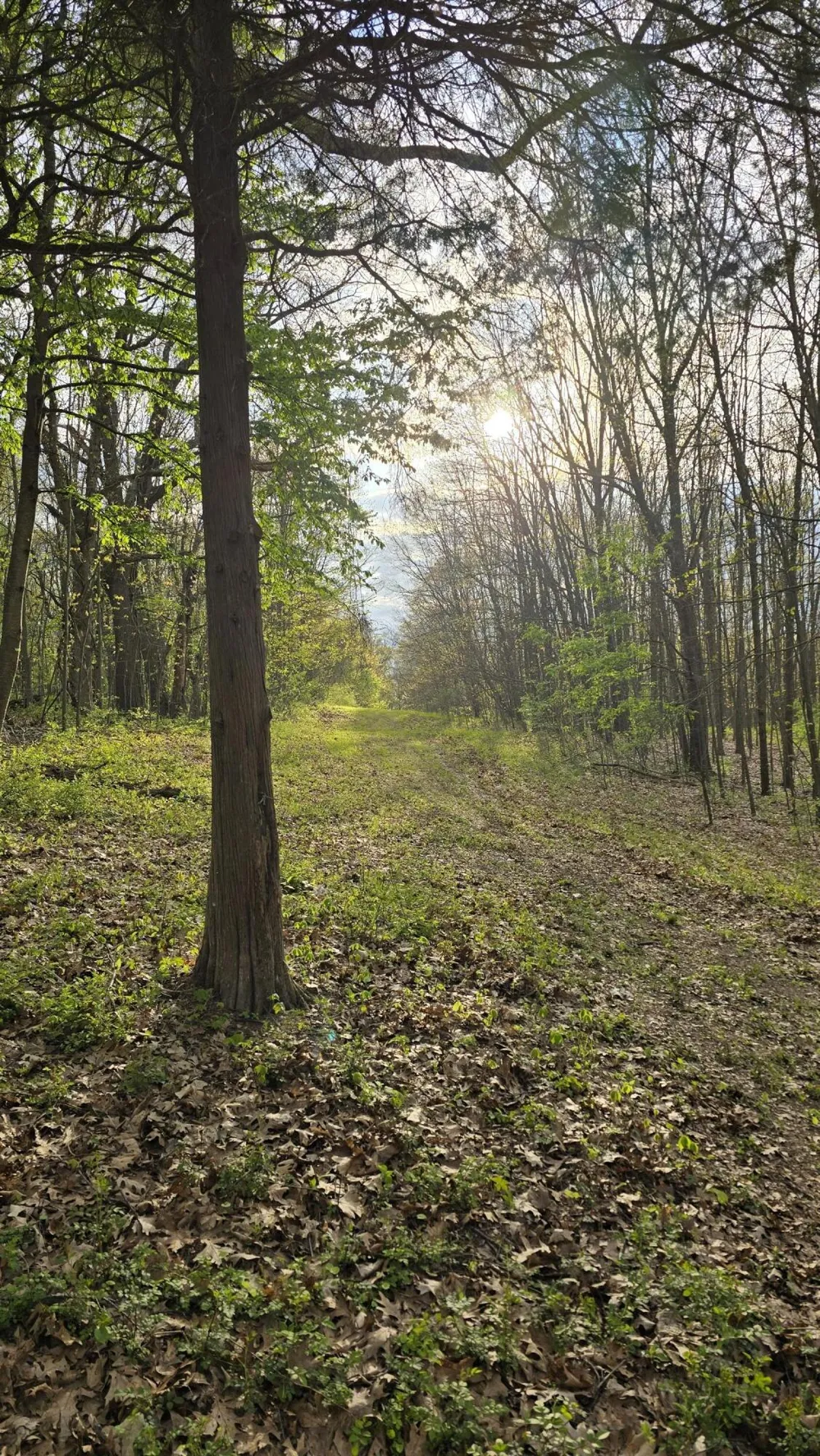 690 Pierce Road Plainwell, MI 49080