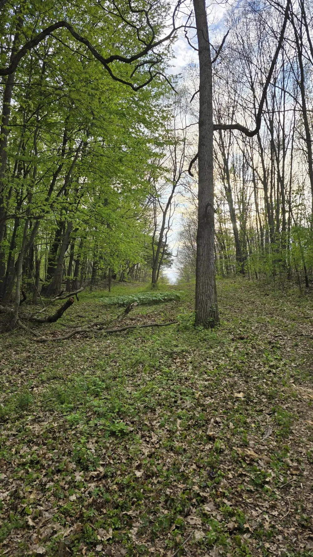 690 Pierce Road Plainwell, MI 49080