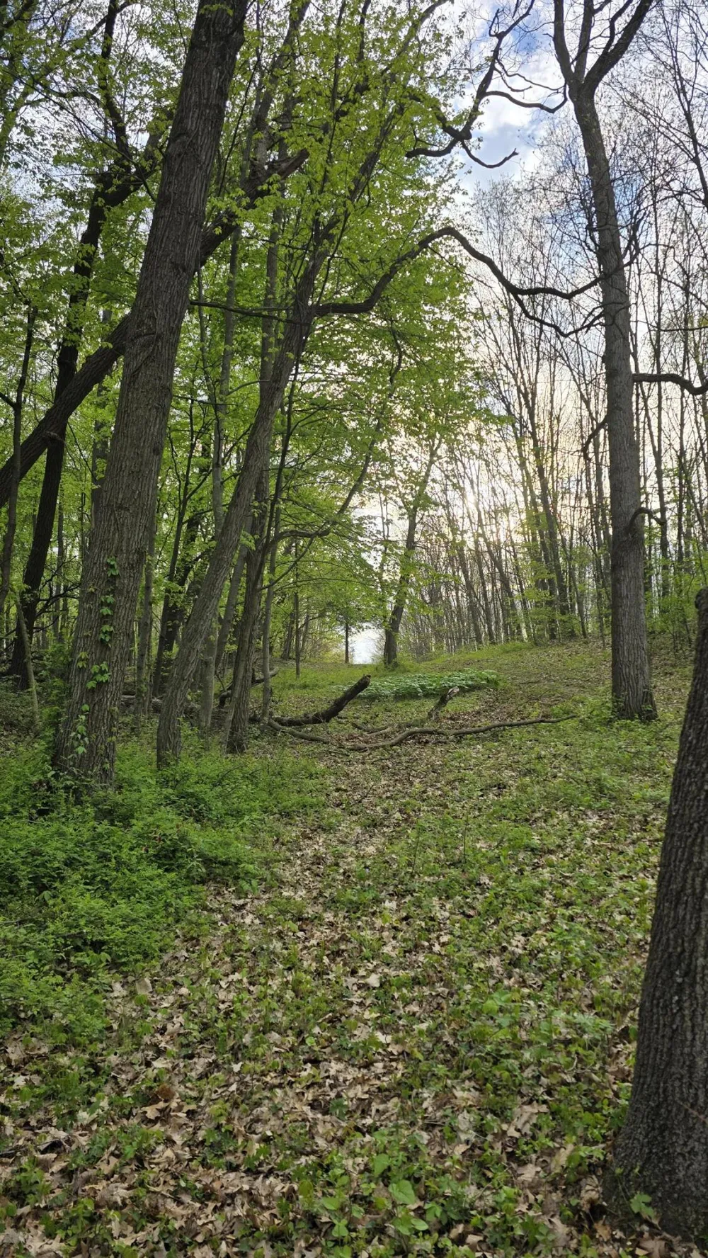 690 Pierce Road Plainwell, MI 49080