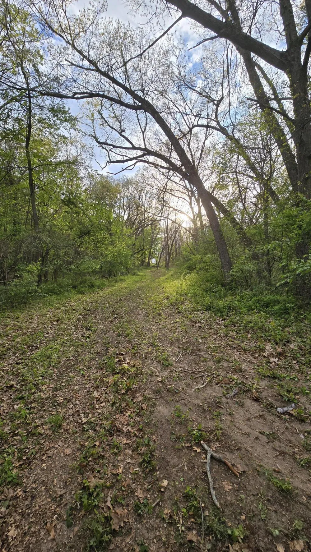 690 Pierce Road Plainwell, MI 49080