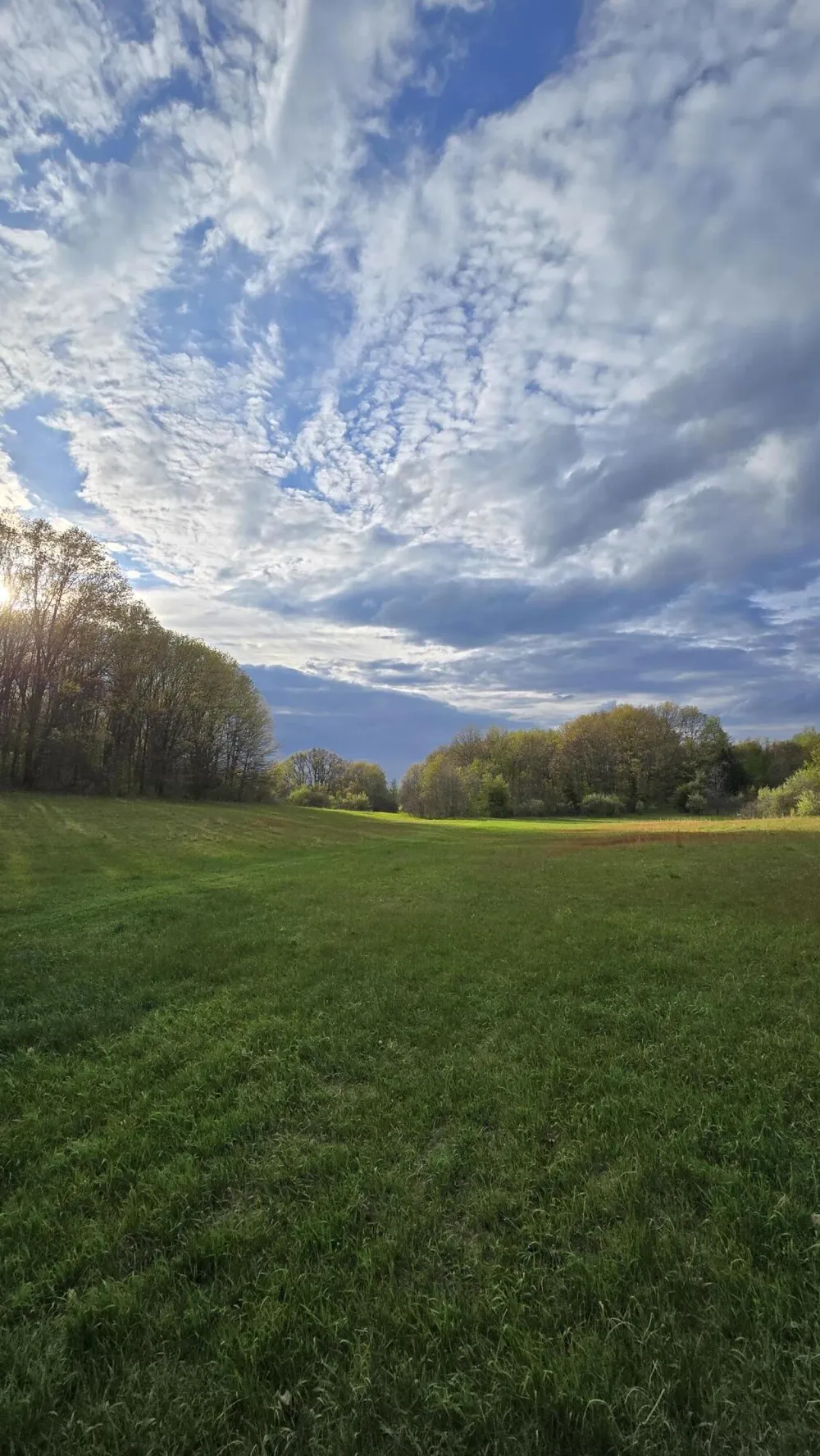 690 Pierce Road Plainwell, MI 49080