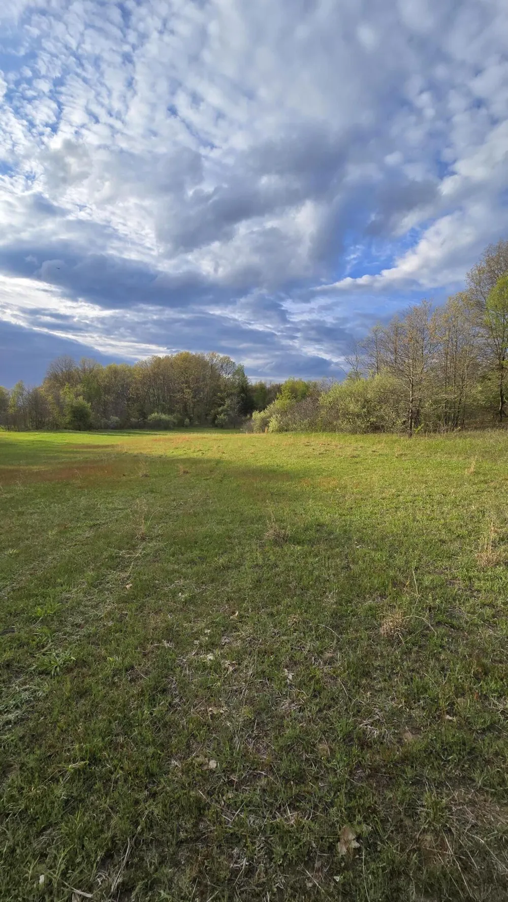 690 Pierce Road Plainwell, MI 49080