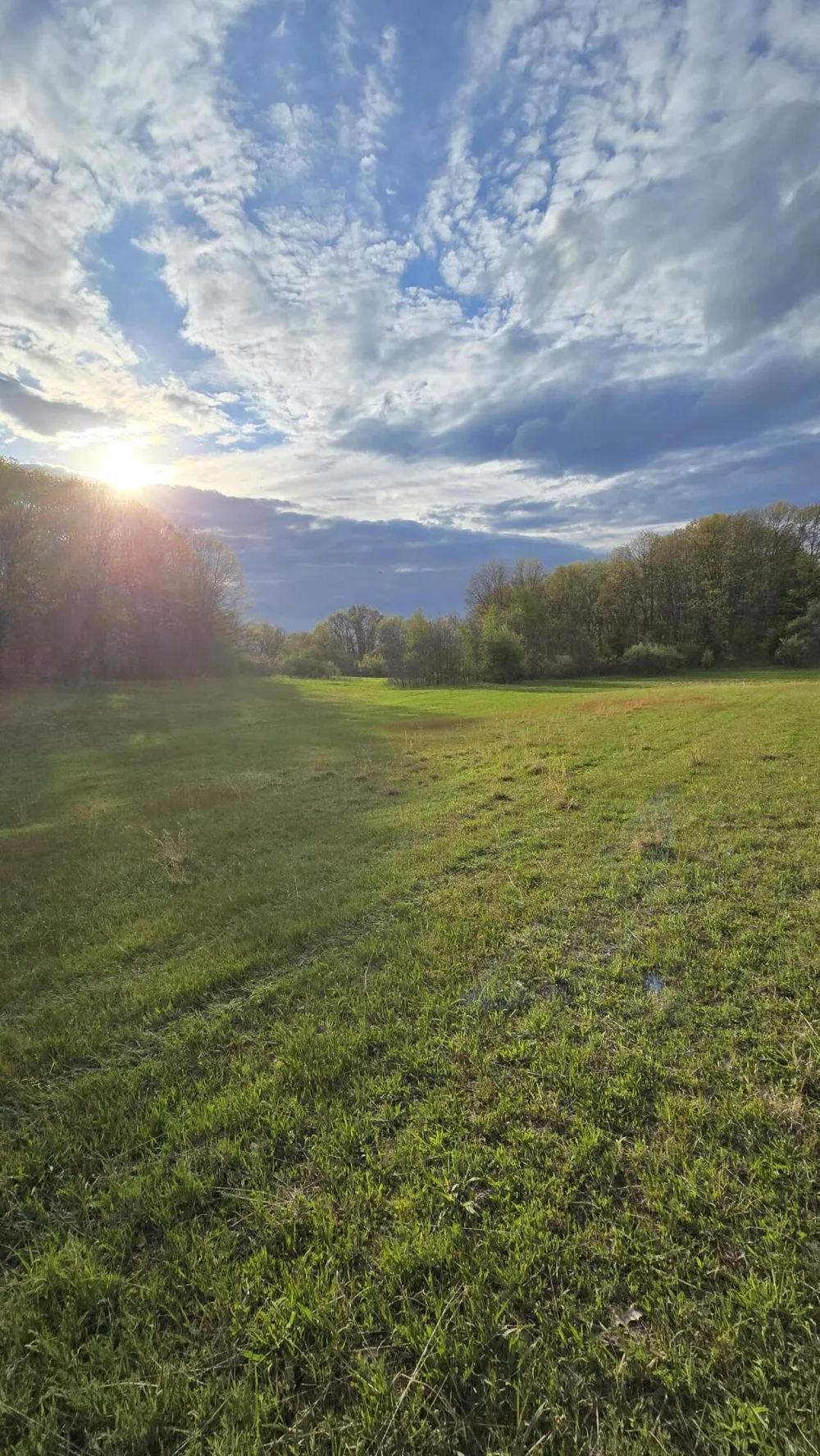 690 Pierce Road Plainwell, MI 49080