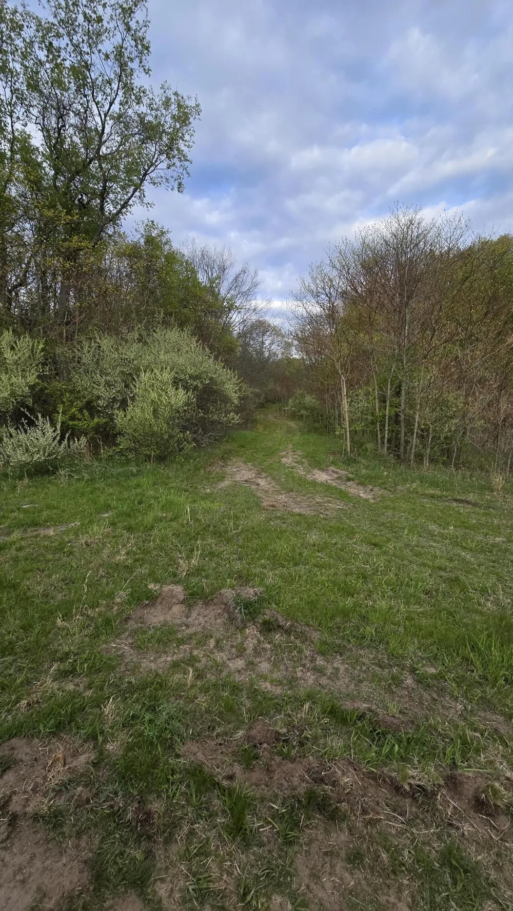 690 Pierce Road Plainwell, MI 49080