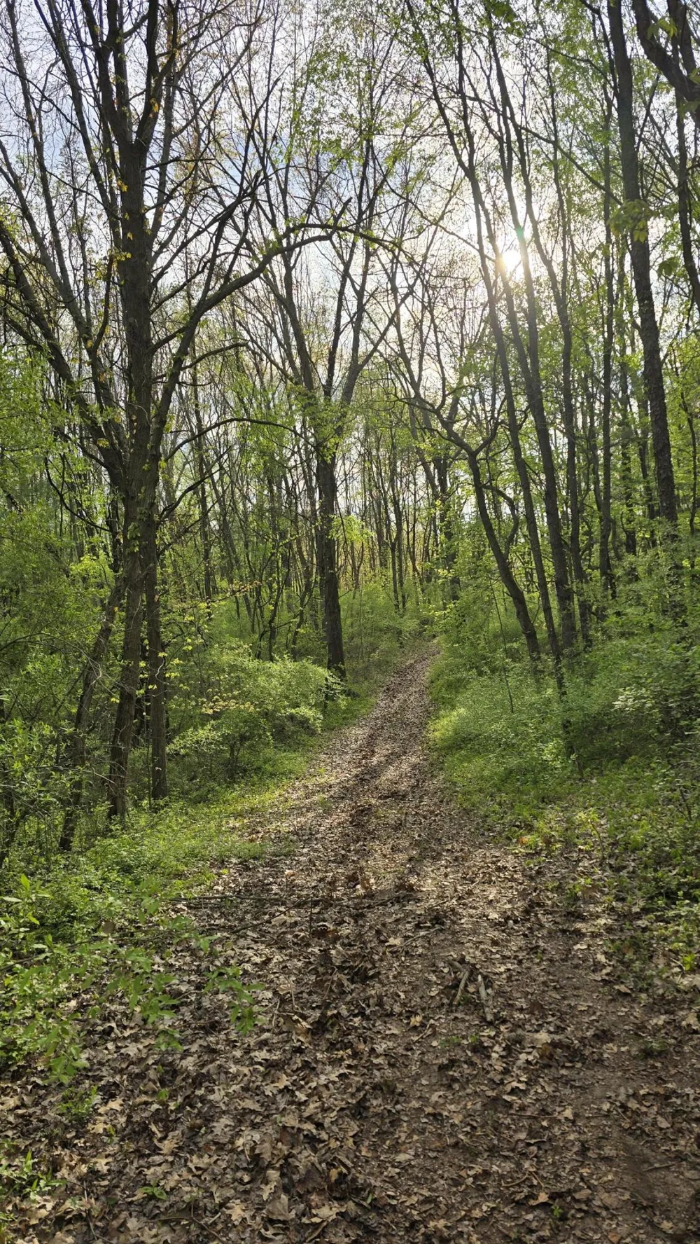 690 Pierce Road Plainwell, MI 49080