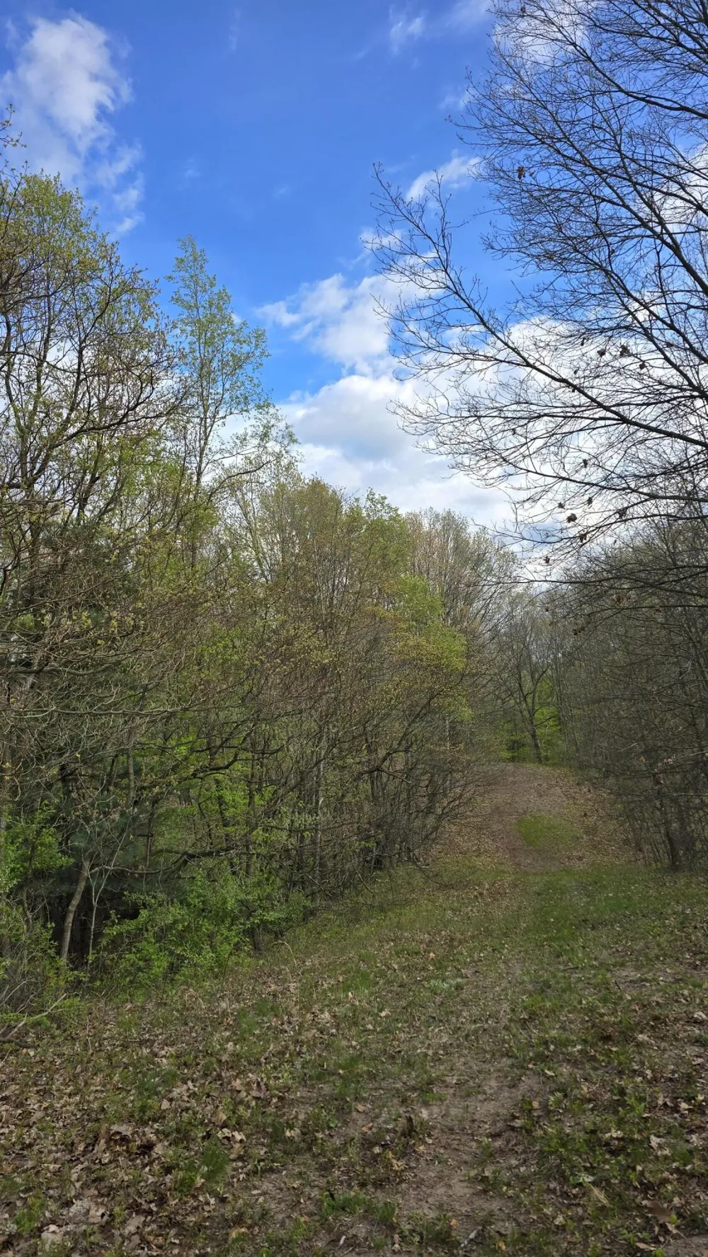 690 Pierce Road Plainwell, MI 49080