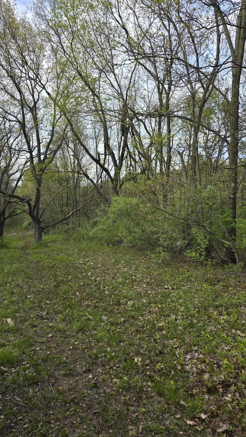 690 Pierce Road Plainwell, MI 49080