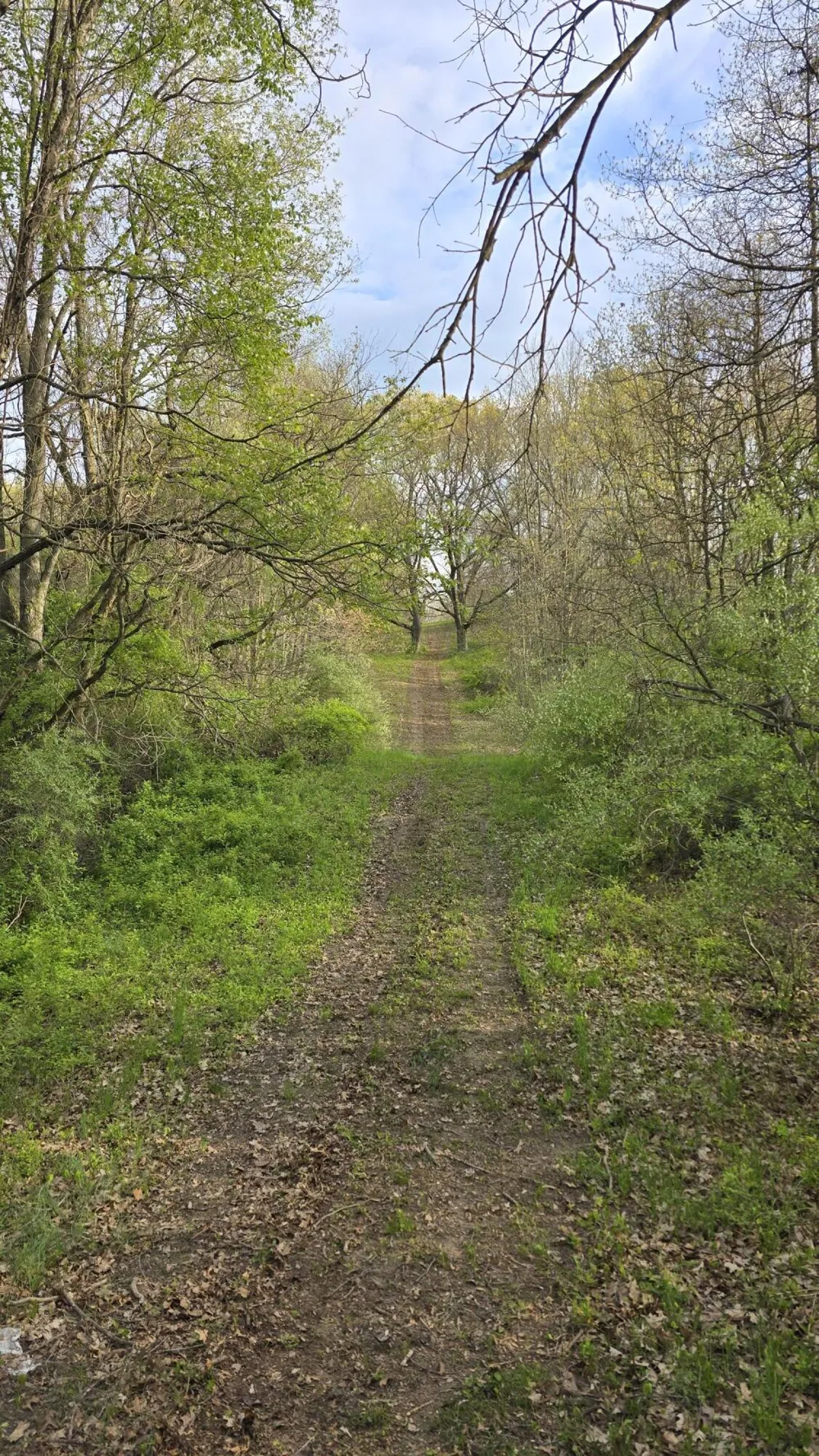 690 Pierce Road Plainwell, MI 49080