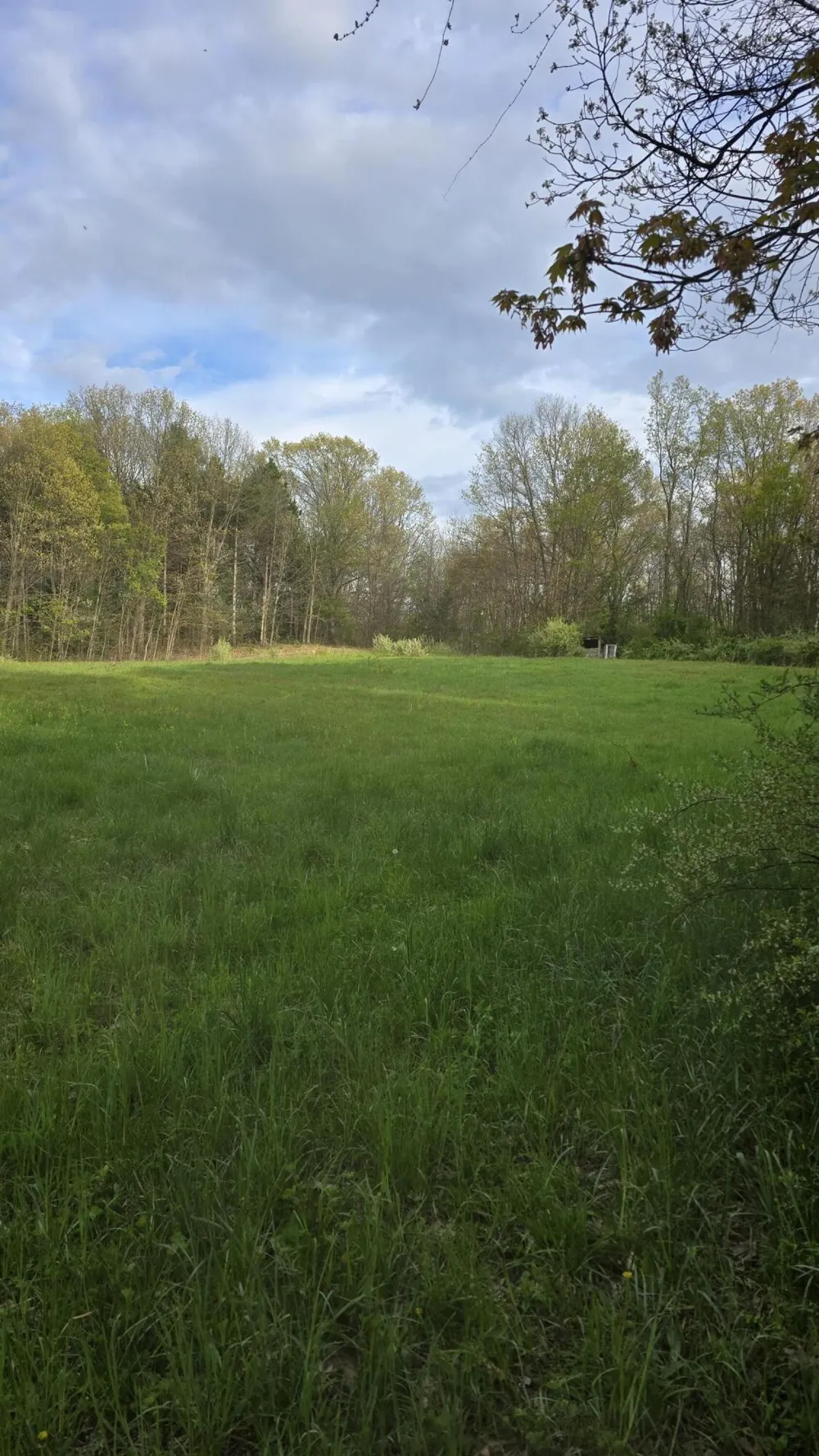 690 Pierce Road Plainwell, MI 49080