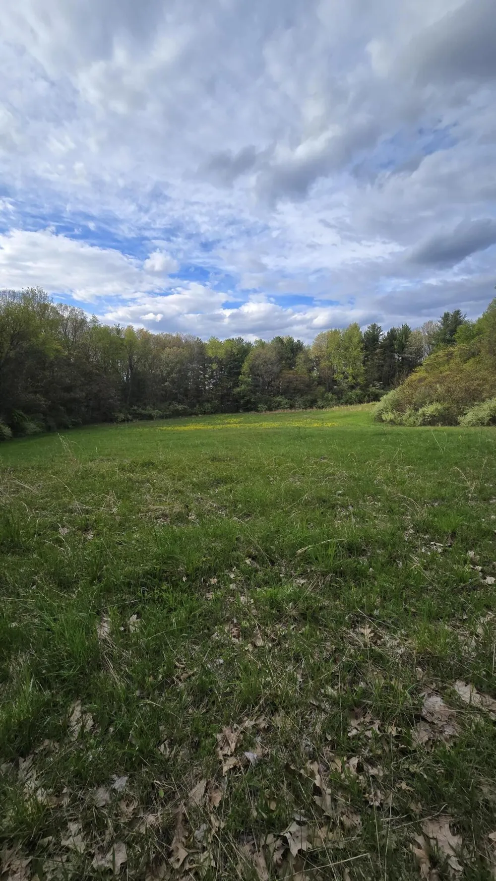690 Pierce Road Plainwell, MI 49080
