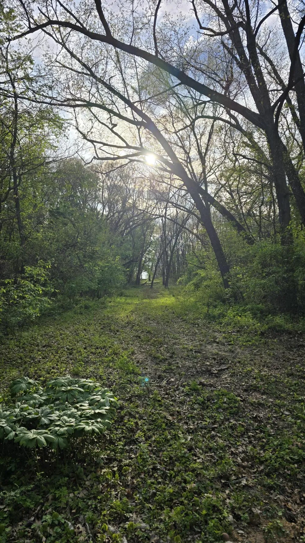 690 Pierce Road Plainwell, MI 49080