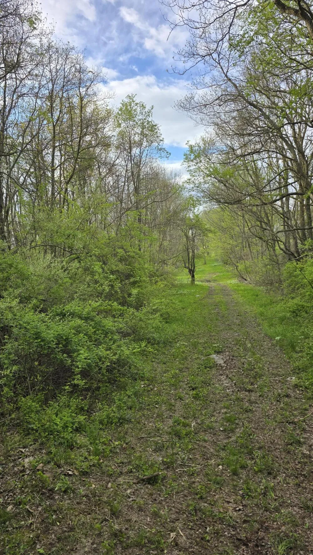 690 Pierce Road Plainwell, MI 49080