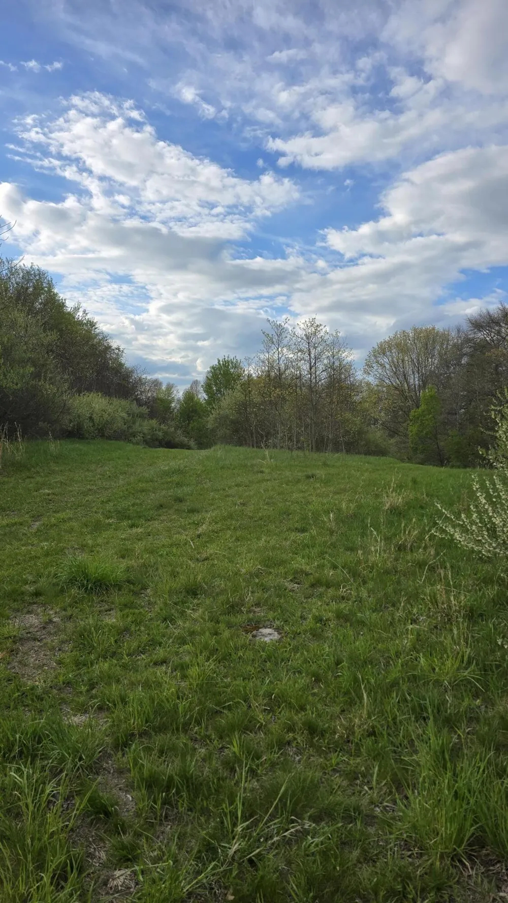 690 Pierce Road Plainwell, MI 49080