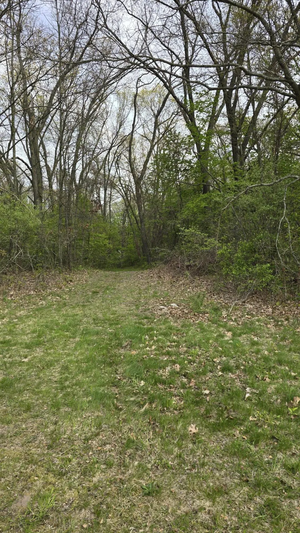 690 Pierce Road Plainwell, MI 49080