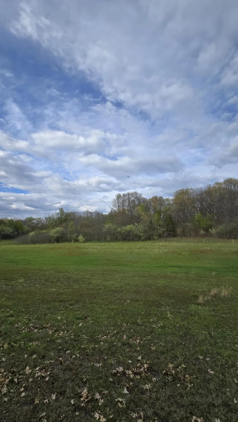 690 Pierce Road Plainwell, MI 49080