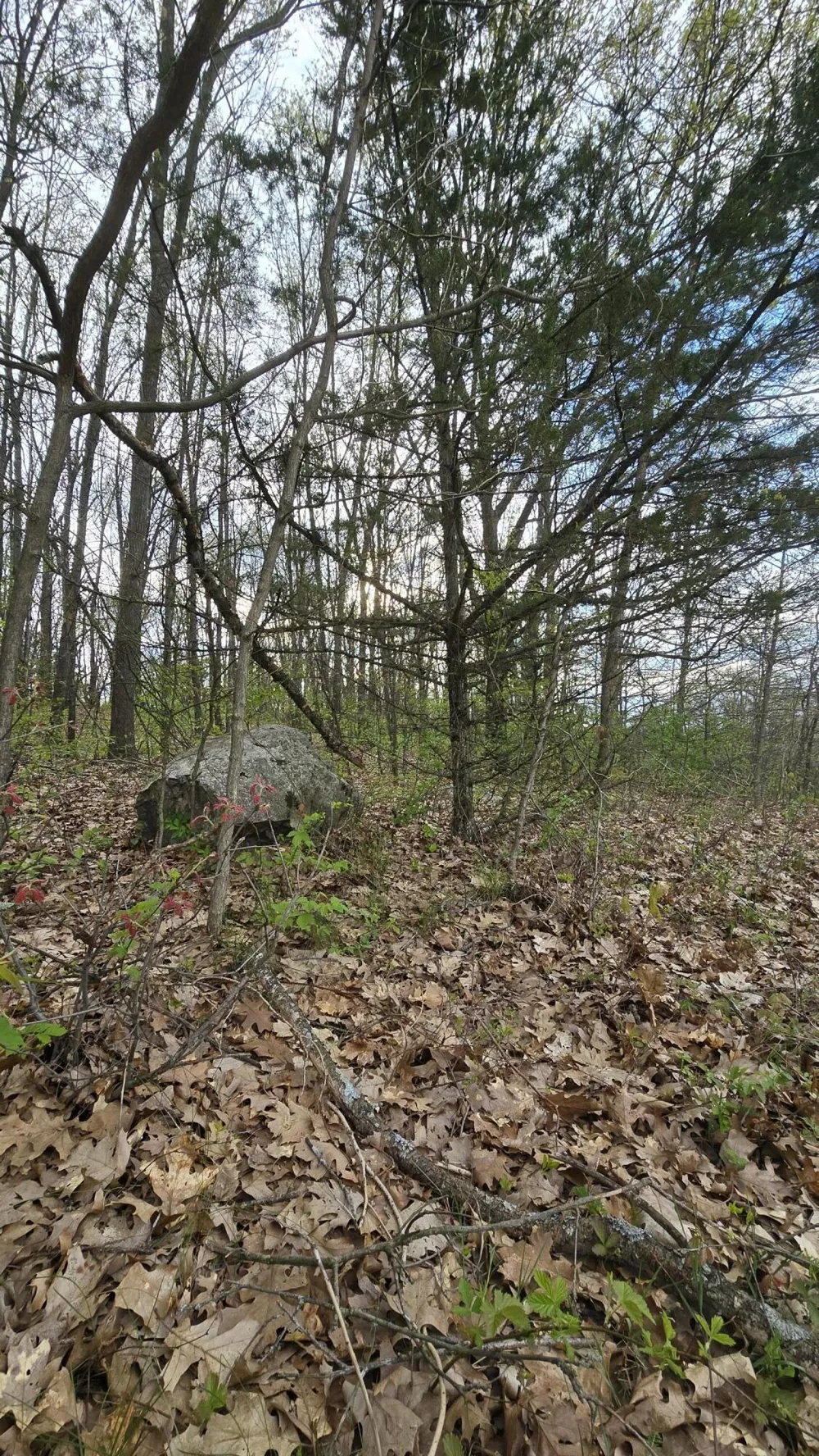 690 Pierce Road Plainwell, MI 49080