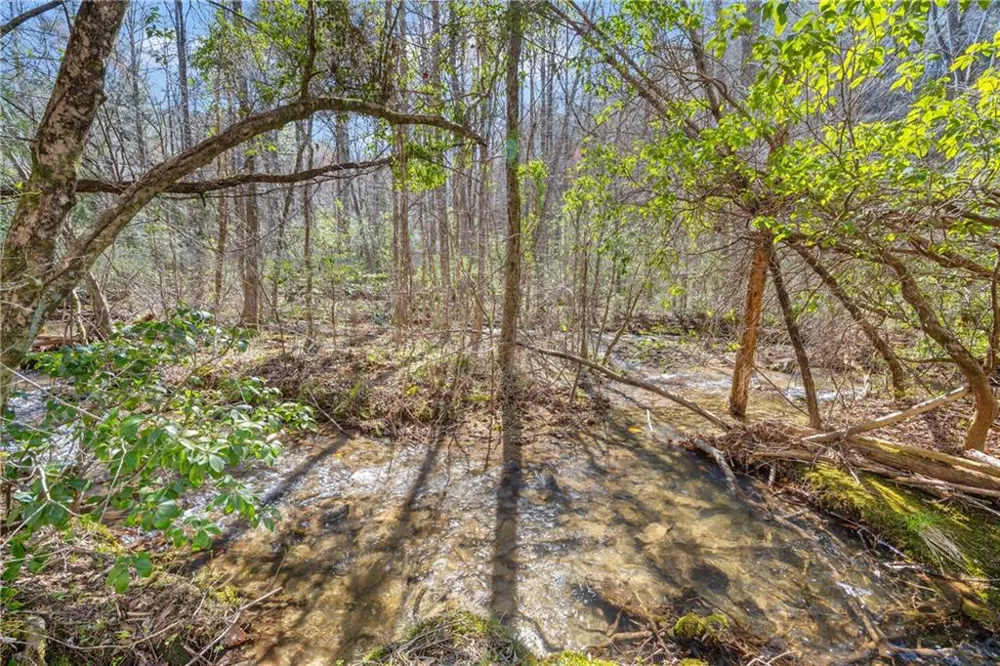 740 Little Rock Creek Road Cherry Log, GA 30522