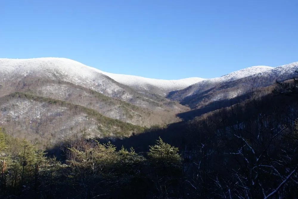 740 Little Rock Creek Road Cherry Log, GA 30522