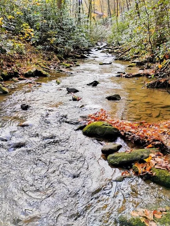 740 Little Rock Creek Road Cherry Log, GA 30522
