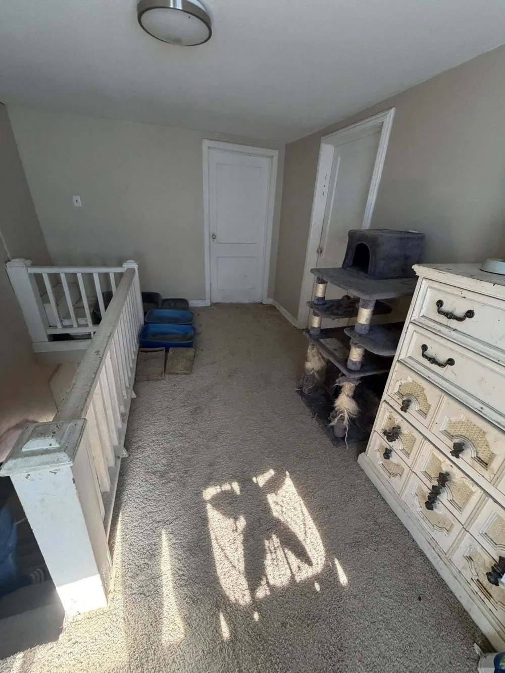 12723 Ostrander Road Maybee, MI 48159