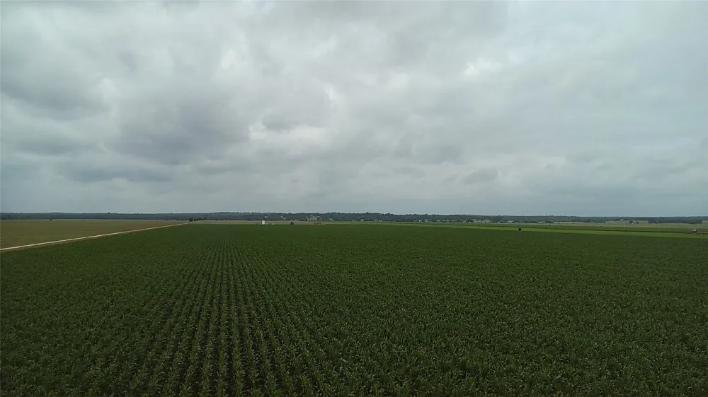 Highway 50 Snook, TX 77878