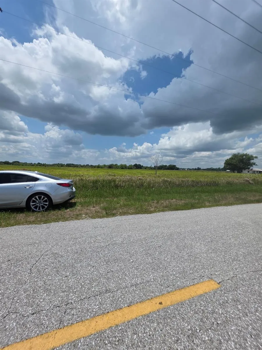 METHENY RD, PARCEL C Wauchula, FL 33873