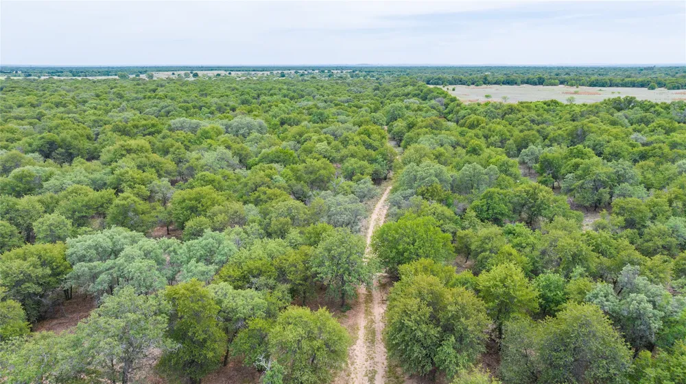 FM 3368 Hawley, TX 79525