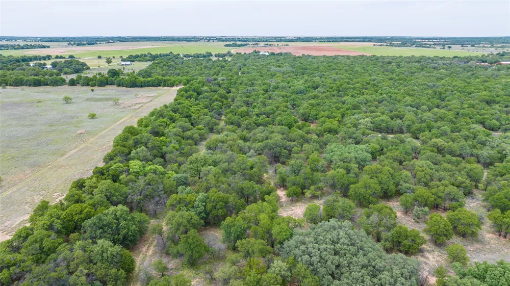 FM 3368 Hawley, TX 79525