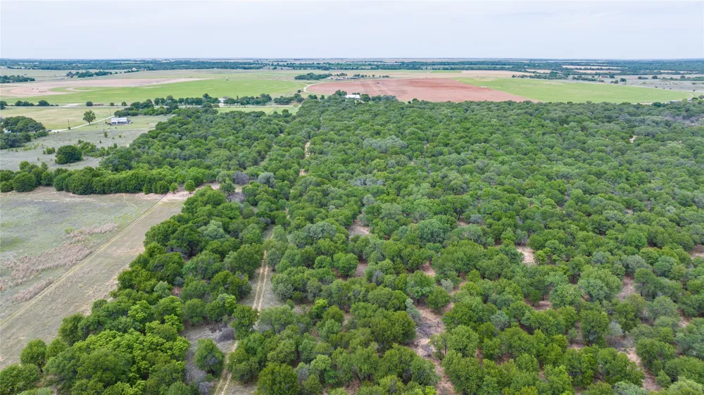 FM 3368 Hawley, TX 79525