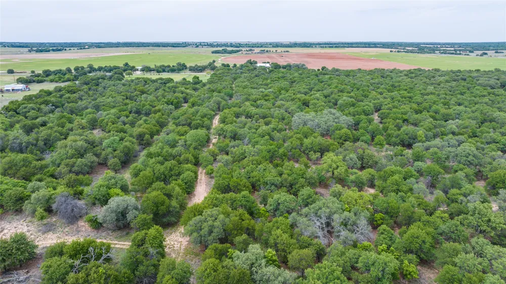 FM 3368 Hawley, TX 79525