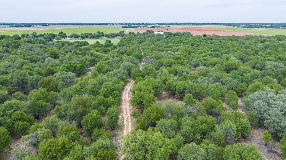 FM 3368 Hawley, TX 79525
