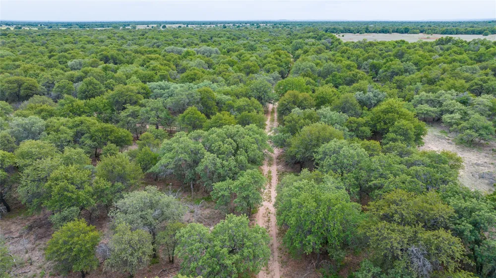 FM 3368 Hawley, TX 79525