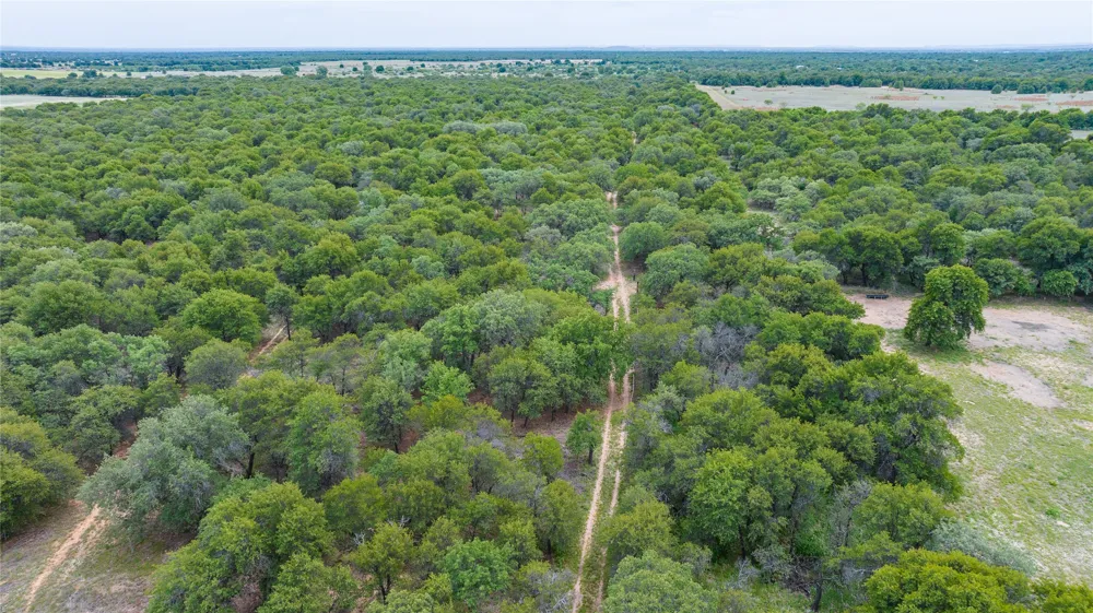 FM 3368 Hawley, TX 79525