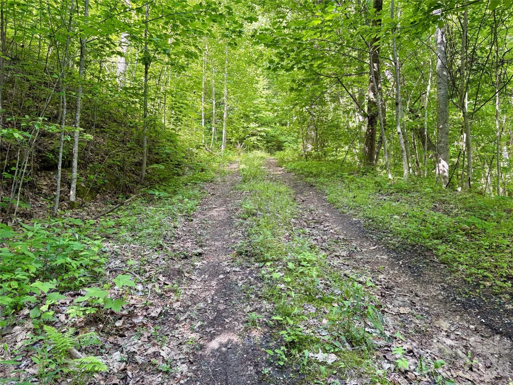 0 Carpenter Road Bryson City, NC 28713