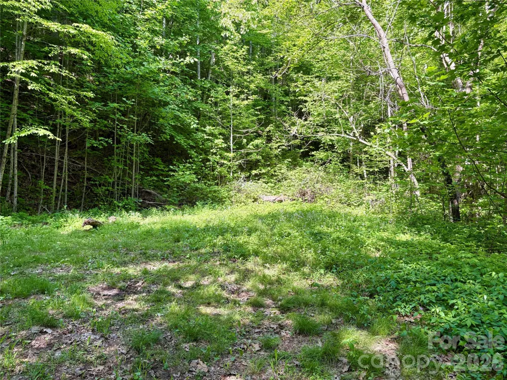 0 Carpenter Road Bryson City, NC 28713