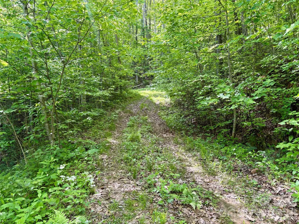 0 Carpenter Road Bryson City, NC 28713