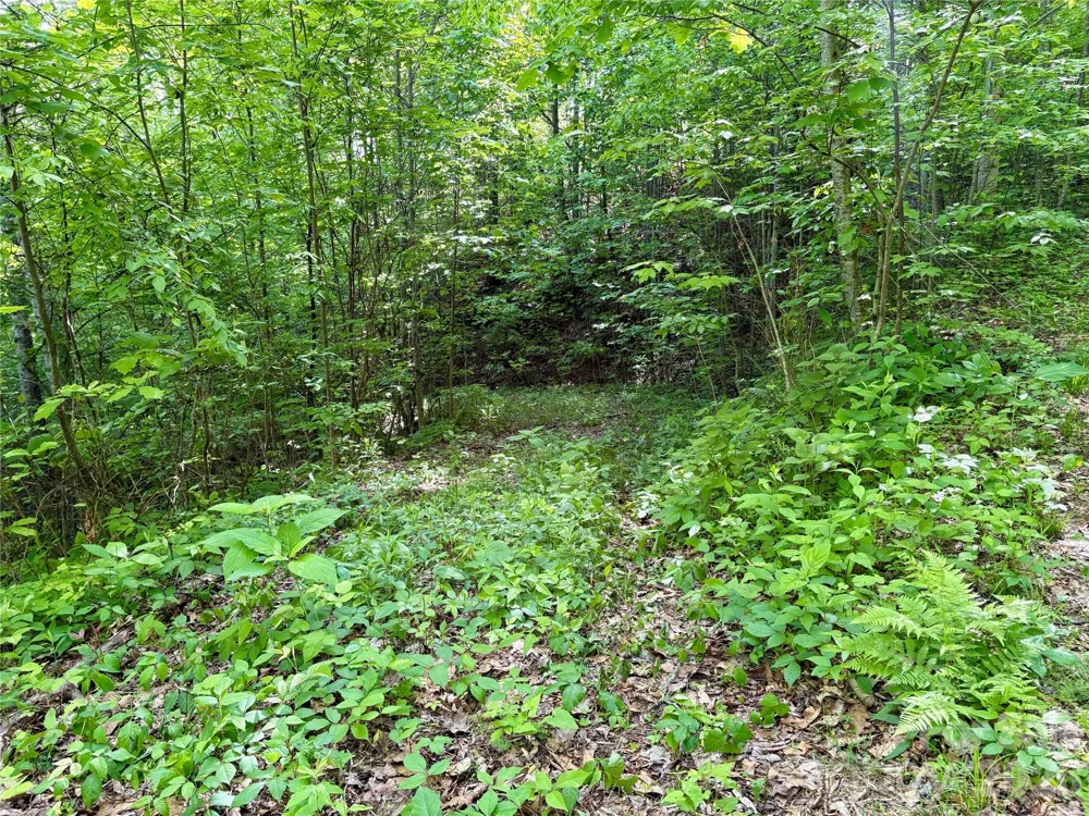 0 Carpenter Road Bryson City, NC 28713