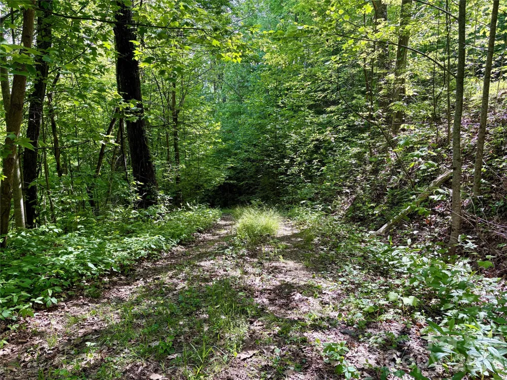 0 Carpenter Road Bryson City, NC 28713