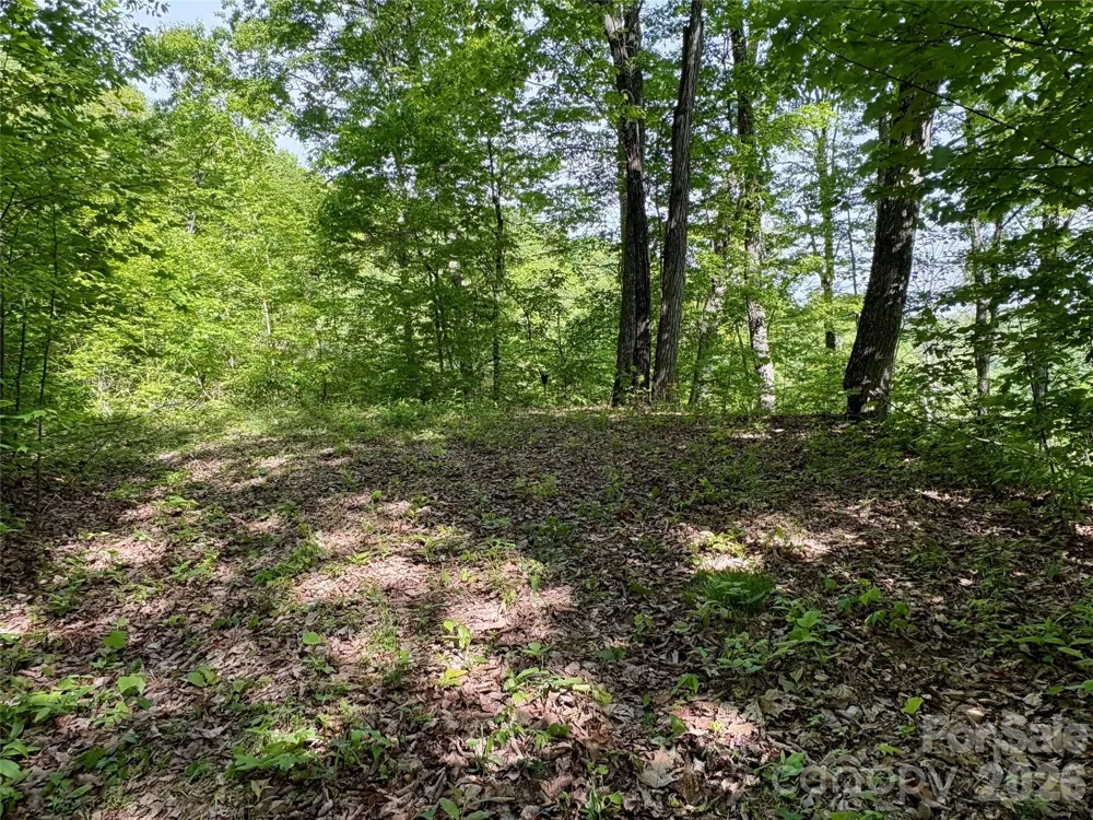 0 Carpenter Road Bryson City, NC 28713