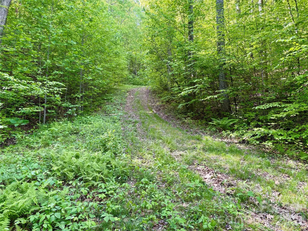 0 Carpenter Road Bryson City, NC 28713
