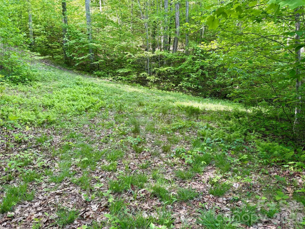 0 Carpenter Road Bryson City, NC 28713