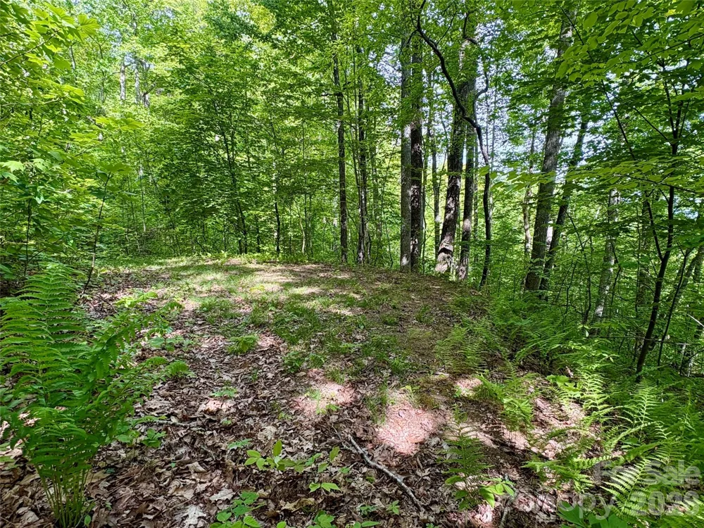 0 Carpenter Road Bryson City, NC 28713