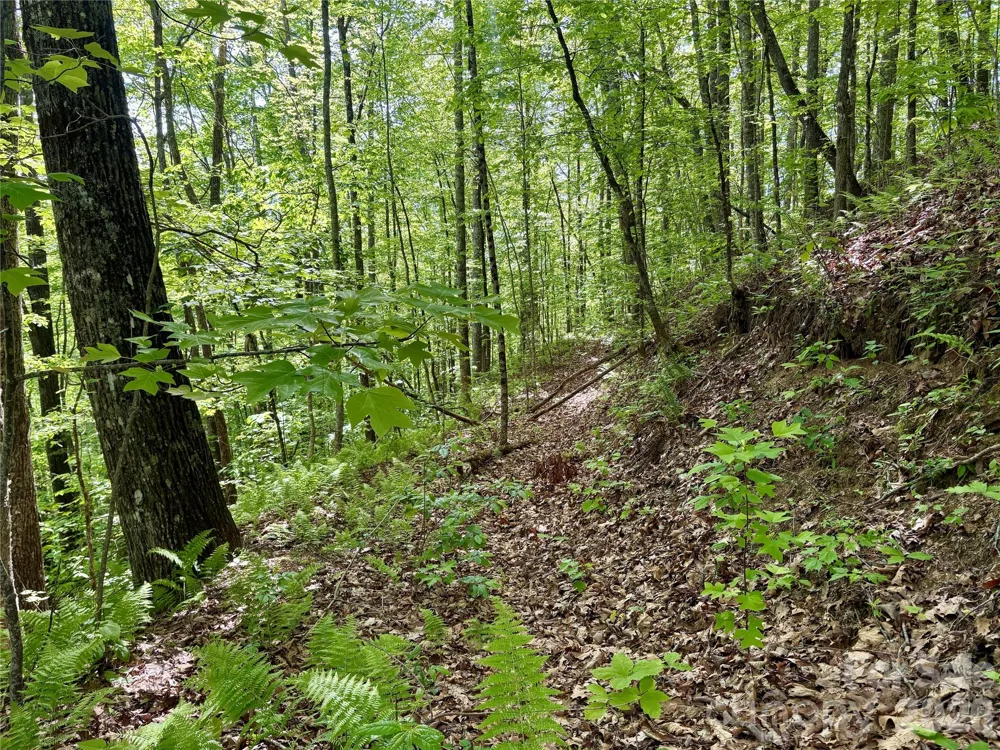0 Carpenter Road Bryson City, NC 28713